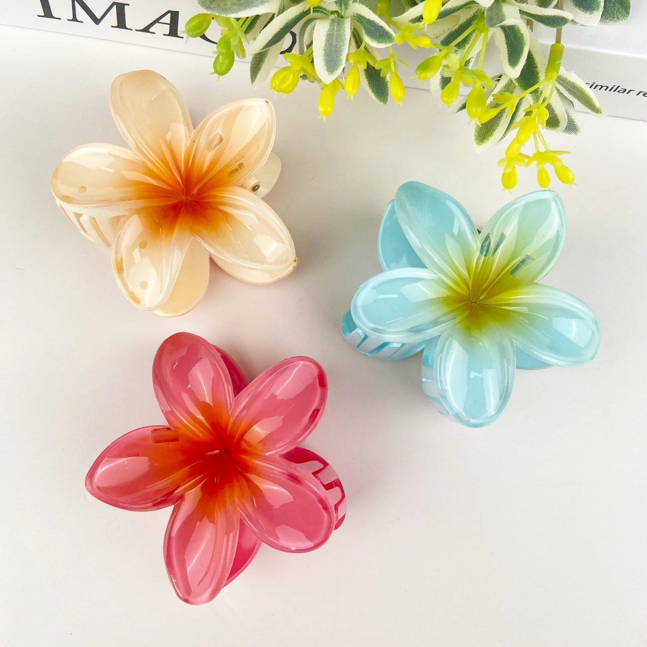 Free Mystery Gift on Orders $75+